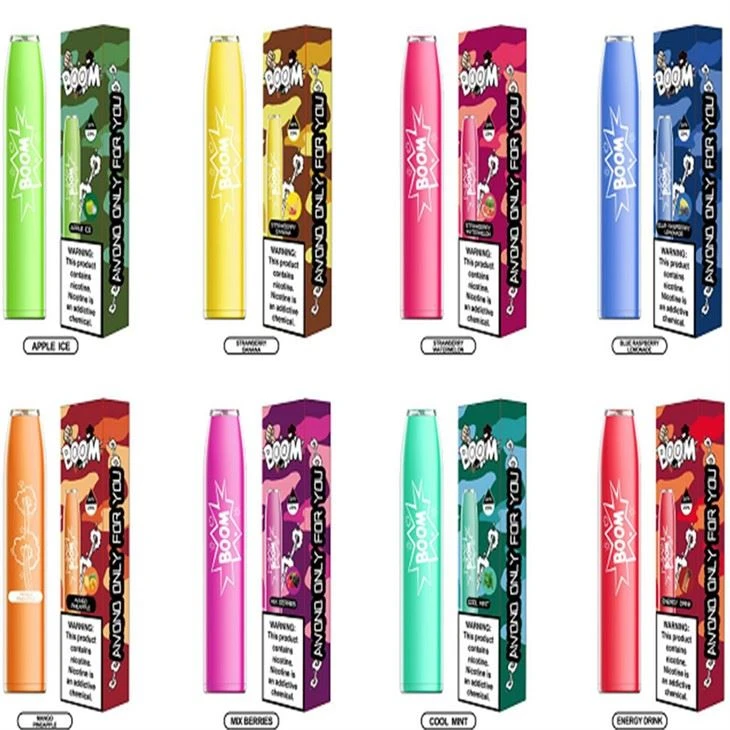 OEM/ODM 600 PUFFS Disposable Electronic Cigarette Vapes OEM/ODM 600 PUFFS Disposable Electronic Cigarette Vapes