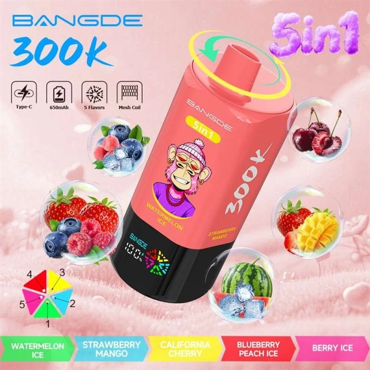 BANG DE 5in1 300K manufacturers