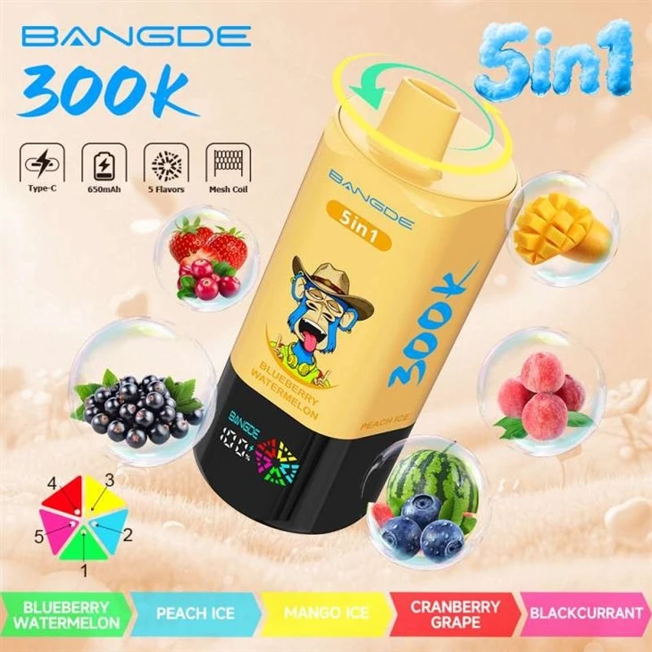 BANG DE 5in1 300K suppliers