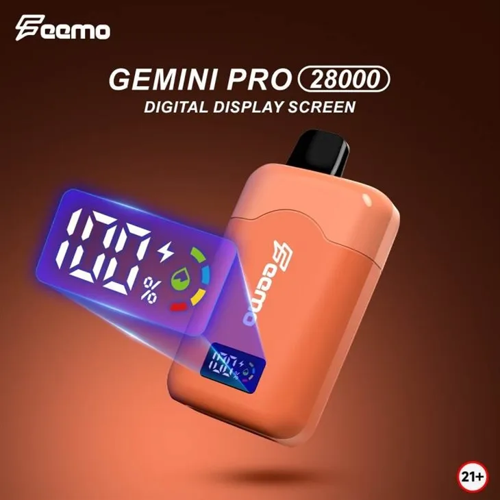 Feemo GEMINI PRO 28000 5