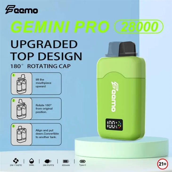 Feemo GEMINI PRO 28000 2