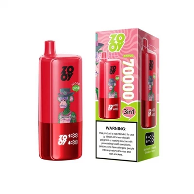 ZOOY TRIPLE 70000 Technische introductie en structurele analyse|Systeem met d...