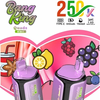BANG KING Quads 4IN1 250000: een gloednieuwe ervaring in premium wegwerp-e--s...