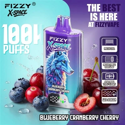 Fizzy 100K X Space: het is niets opmerkelijks dat een apparaat lang meegaat; ...