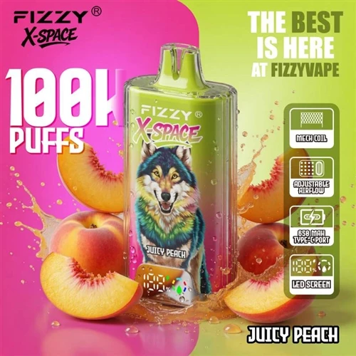 Fizzy X Space 100K: observaties over de trend van wegwerpvapes met hoge- capa...