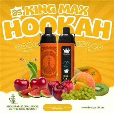 BS King Max Waterpijp 15000