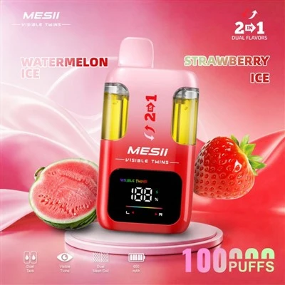 MESII ZICHTBARE TWEELINGEN 100K
