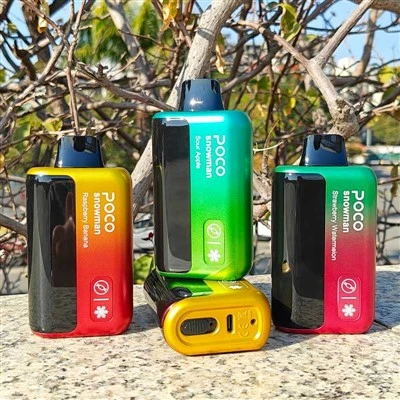 POCO SNEEUWMAN 70000 PUFFS
