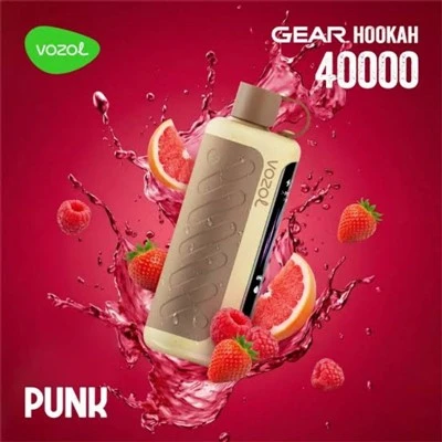 VOZOL Gear Waterpijp 40000